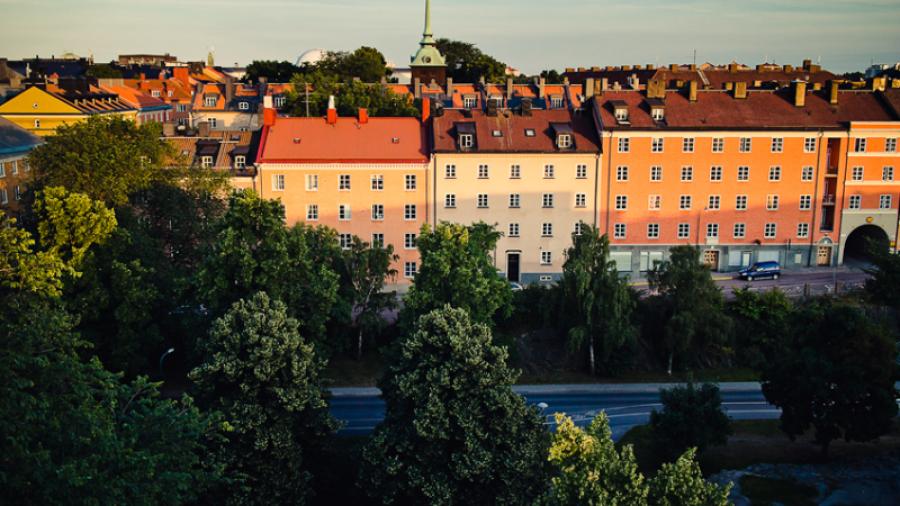Utsikten från takterassen över Rosenlundsparken.